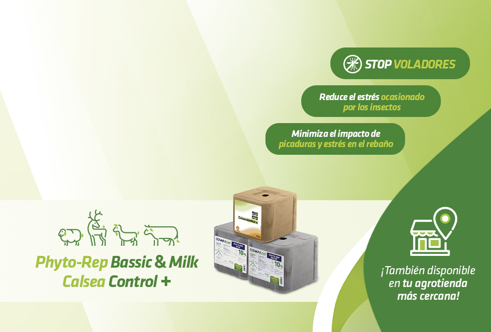 Bloques defensa anti-insectos