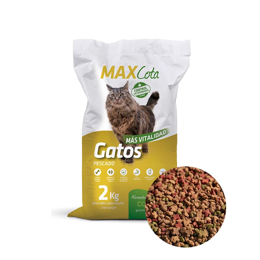 MAXCota Gatos