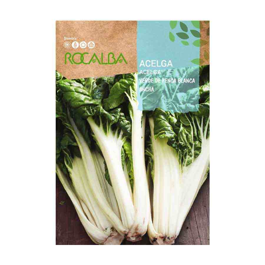Acelga Verde de Penca Blanca