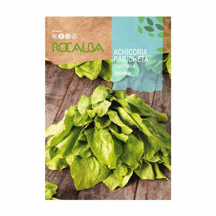 Achicoria Radicheta