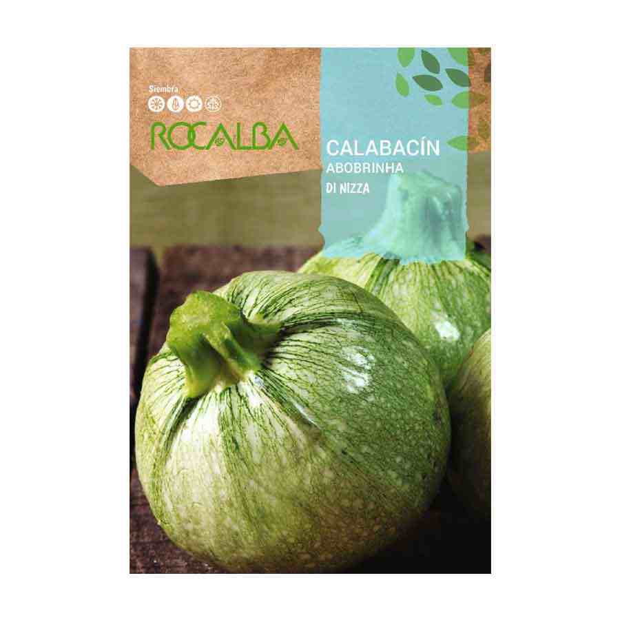 Calabacin di Nizza