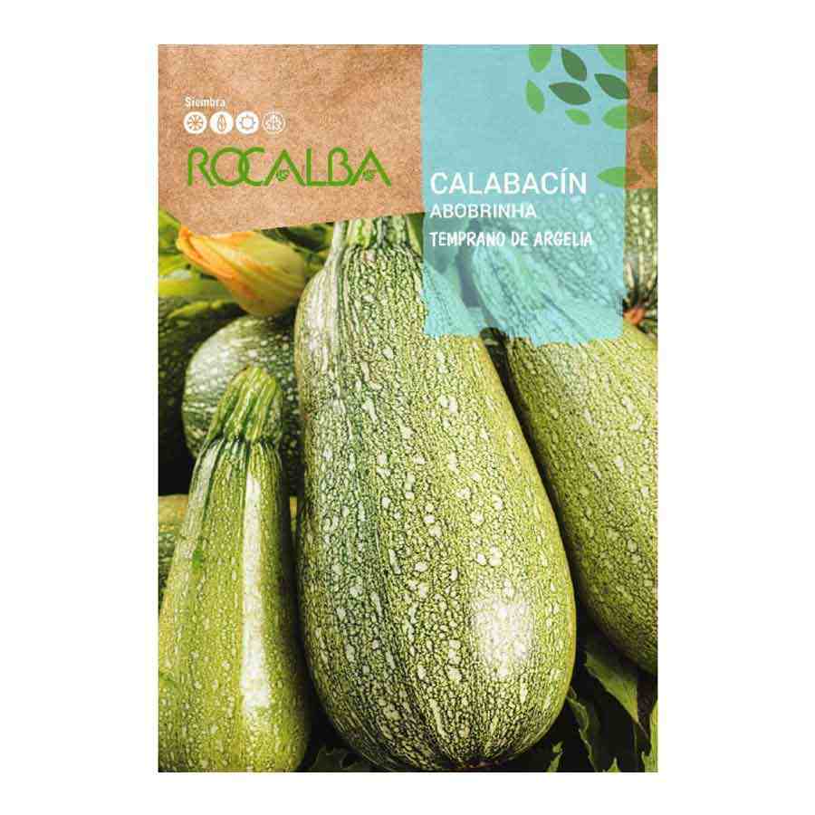 Calabacin Temprano Argelia