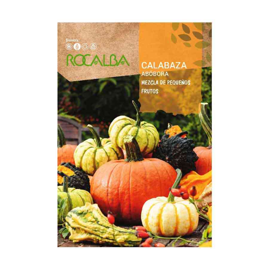 Calabaza Mezcla Frutos