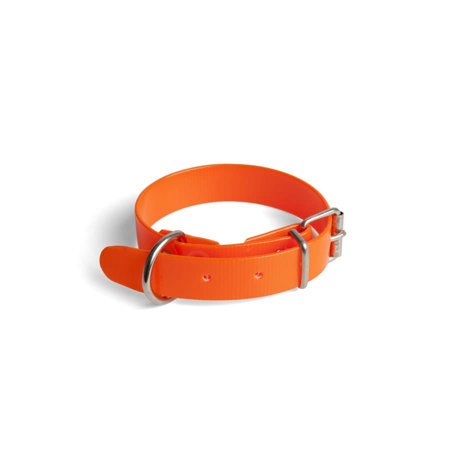 Collar Naranja