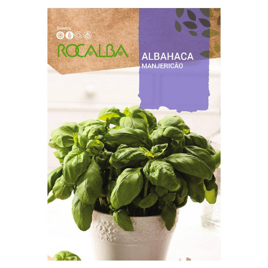 Albahaca