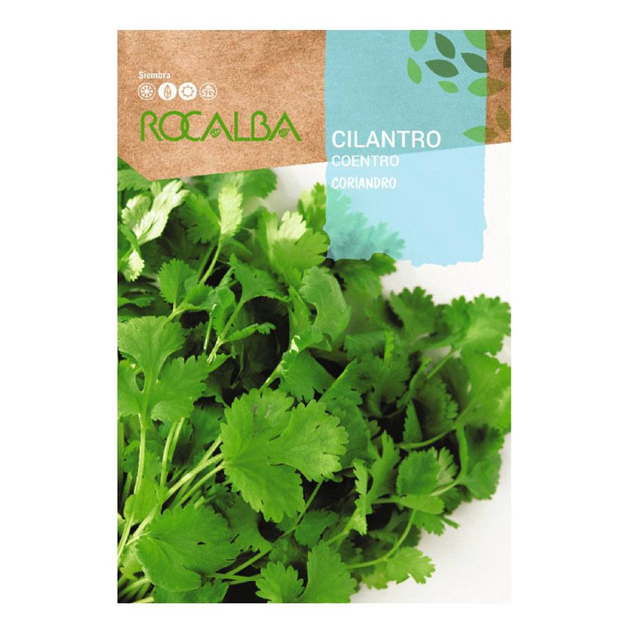 Cilantro Coriandro