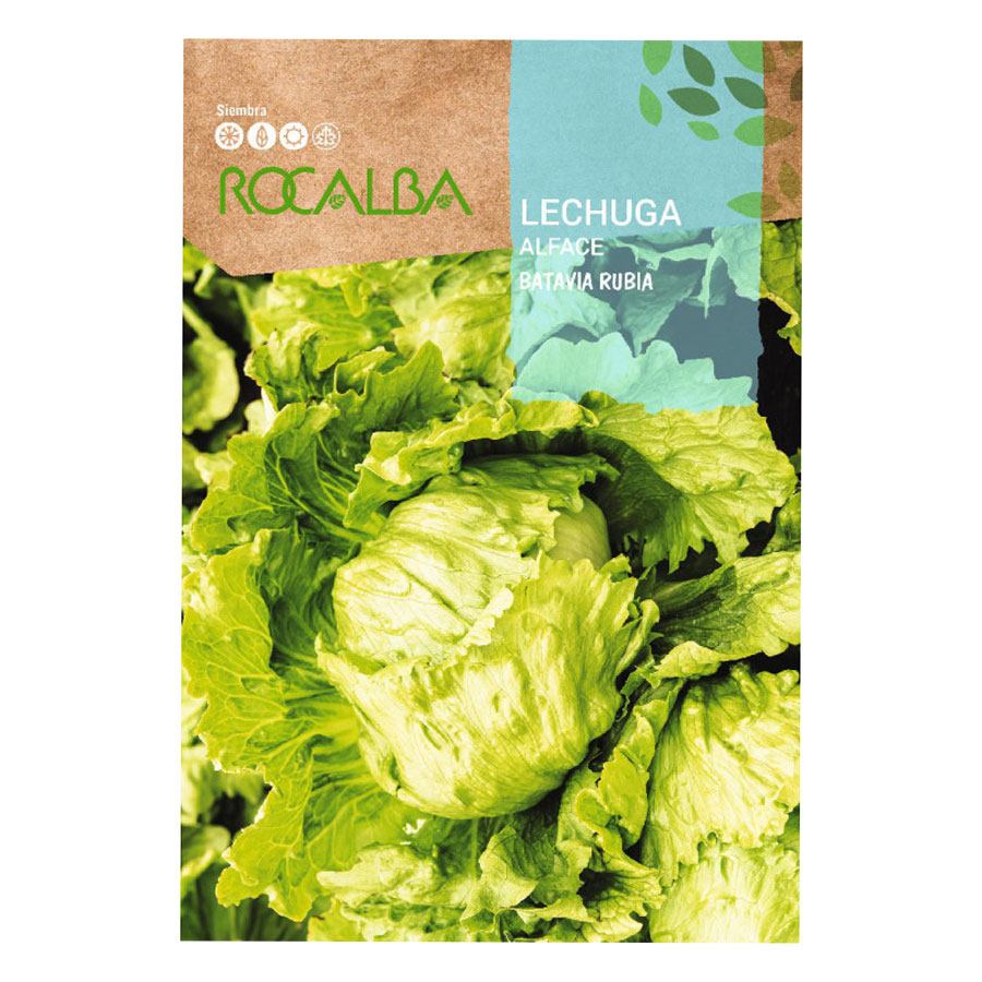 Lechuga Batavia Rubia