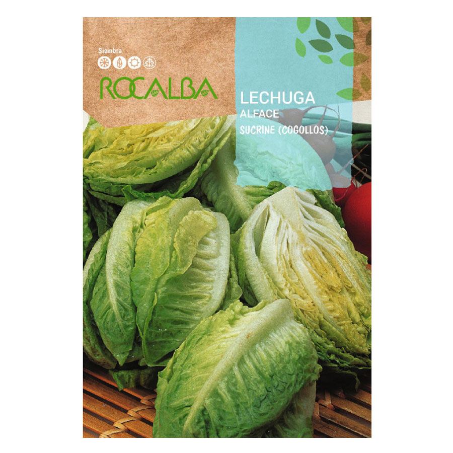 Lechuga Sucrine