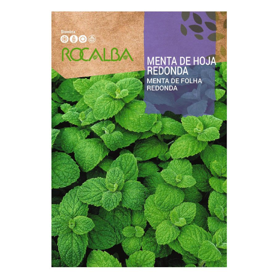 Menta De Hoja Redonda