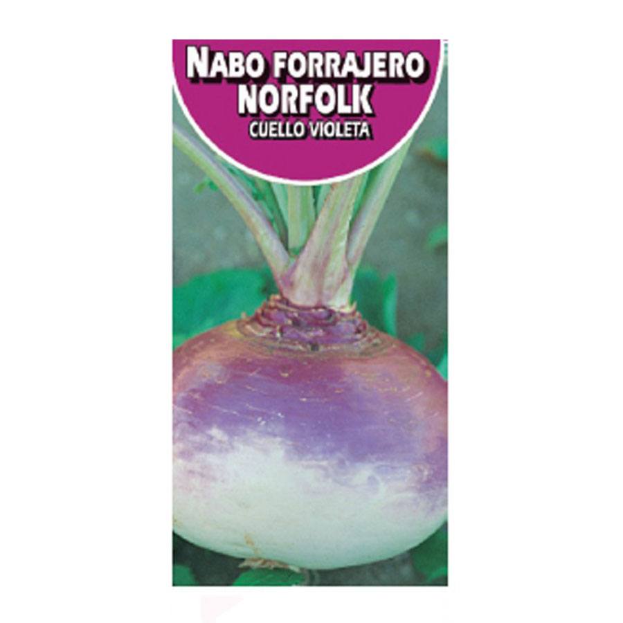 Nabo Redondo Norfolk Cuello Violeta