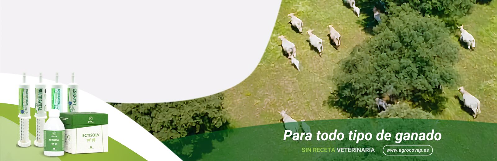 13% DTO. EN TRATAMIENTOS NATURALES