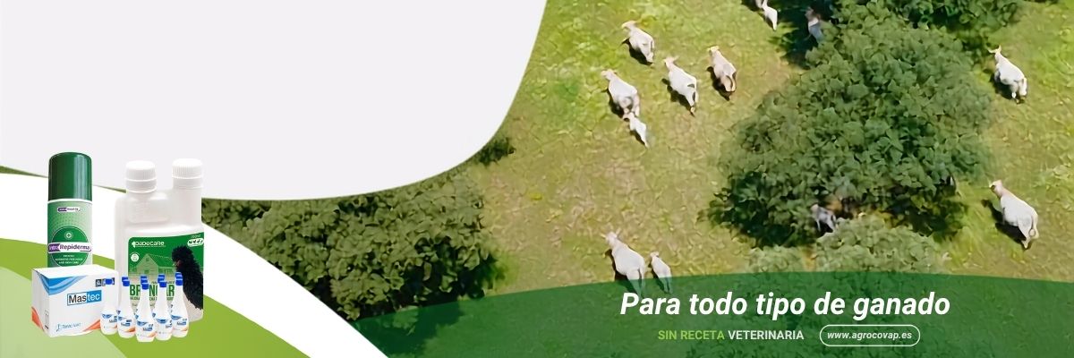 13% DTO. EN TRATAMIENTOS NATURALES