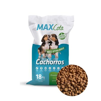 MaxCota Cachorros