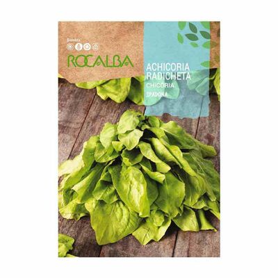 Achicoria Radicheta