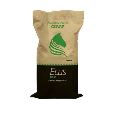 Ecus Base 16mm