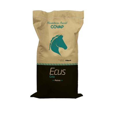 Ecus Cría