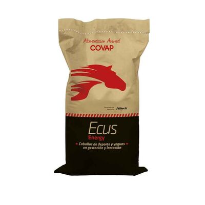 Ecus Energy