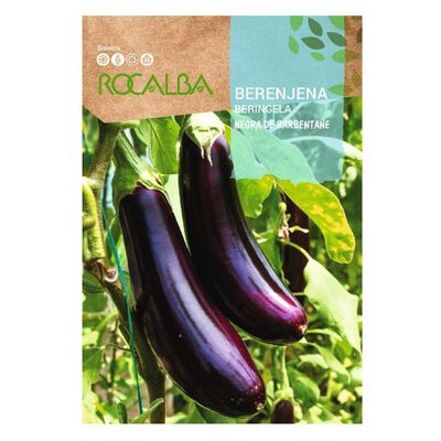 Berenjena black beauty 1