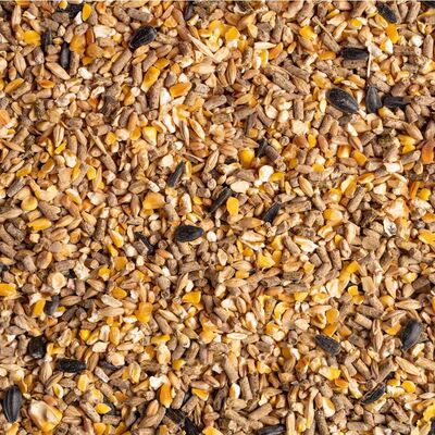 Alimento natural para aves