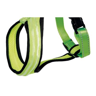 Arnes reflectante perro