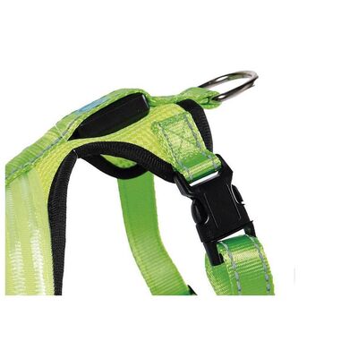 Arnes reflectante luz