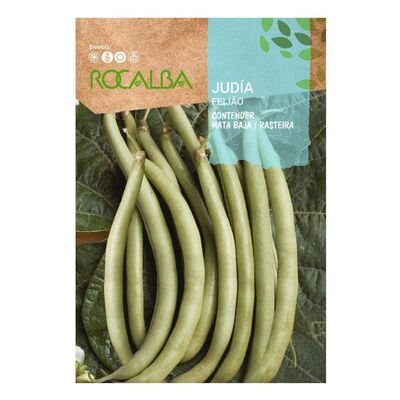 Judia contender 1