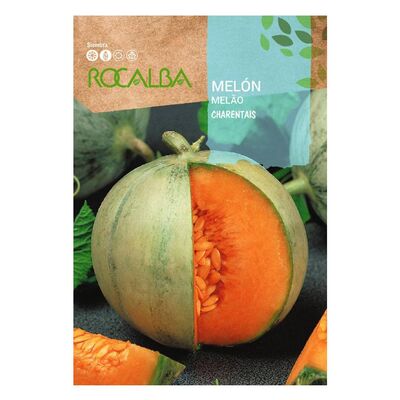 Melon cantaloup charentais 1