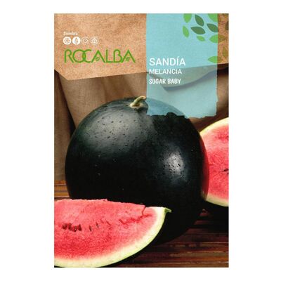 Sandia sugar baby 1