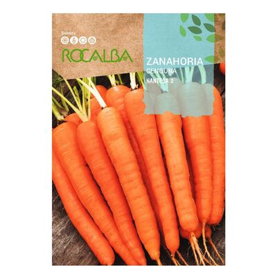 Zanahoria nantesa2 1