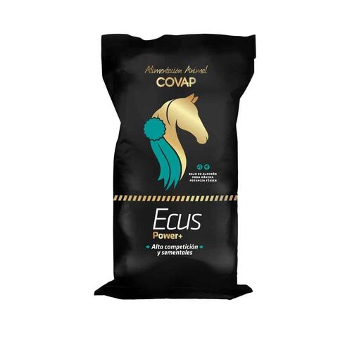ECUS Power +