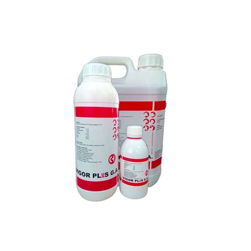 Suplemento Vigor Plus