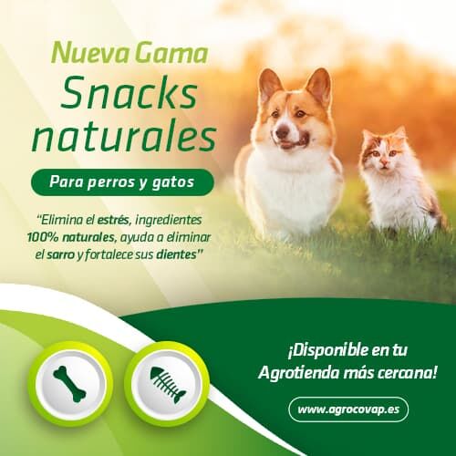 Snack naturales Mascotas