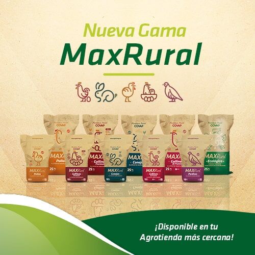 Gama MaxRural